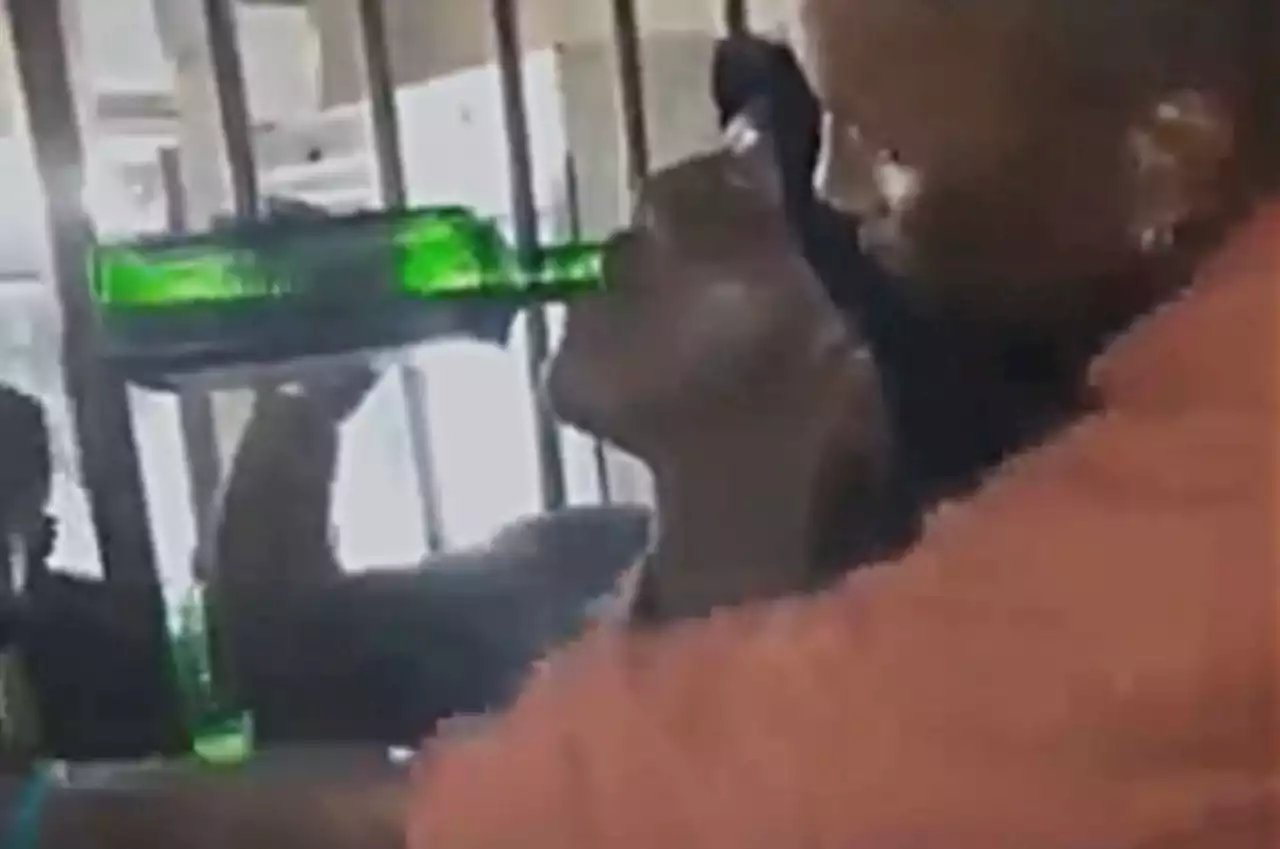 BREAKING NEWS LIVE | Man dies after consuming entire bottle of Jägermeister in drinking competition | News24