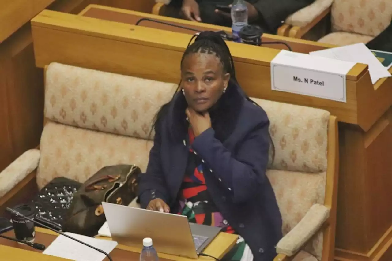 Mkhwebane impeachment: Public Protector mustn't put own interests ahead of the public's, committee hears | News24