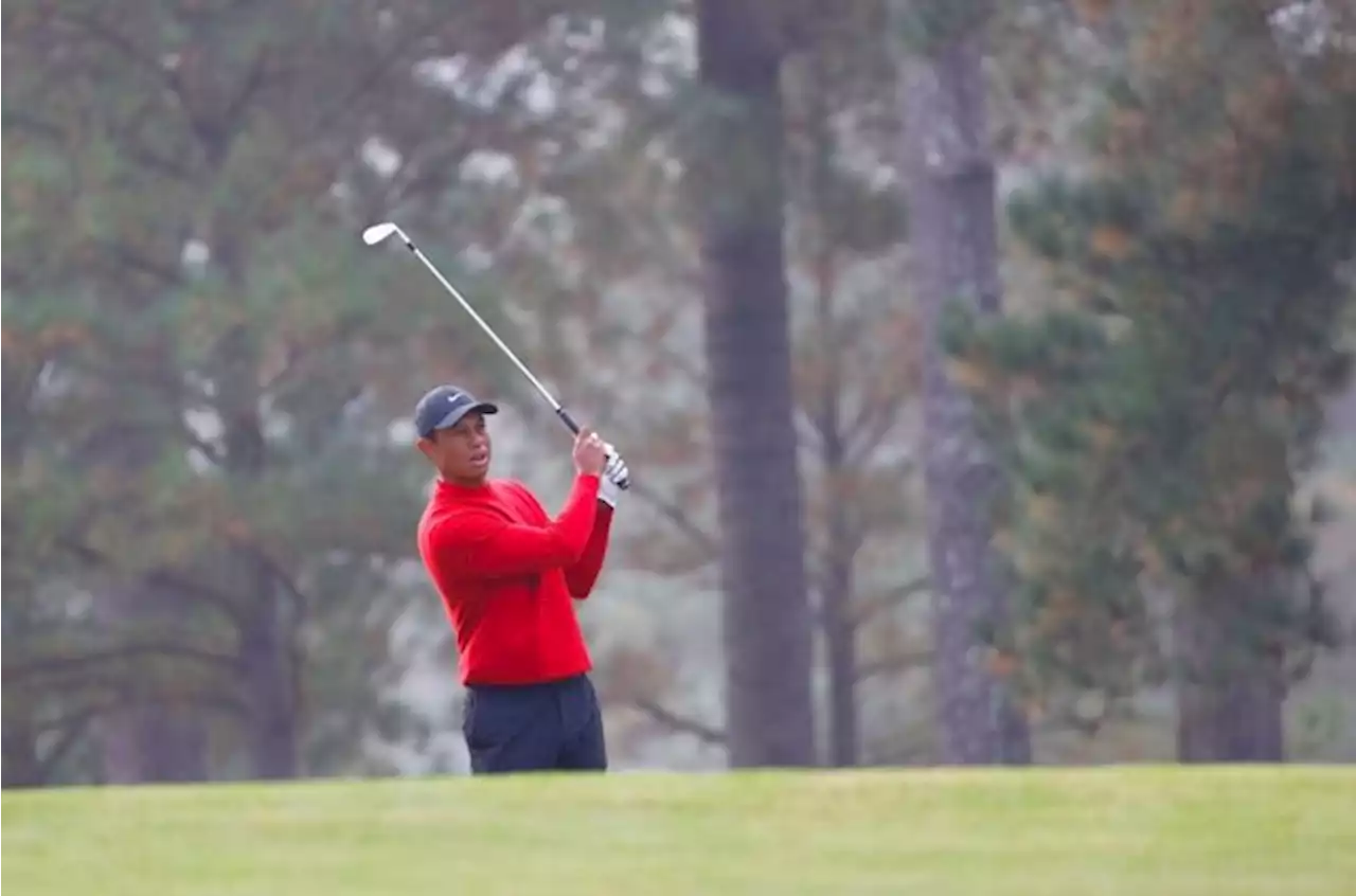 Woods to partner US Open champion Fitzpatrick in British Open first round | Sport