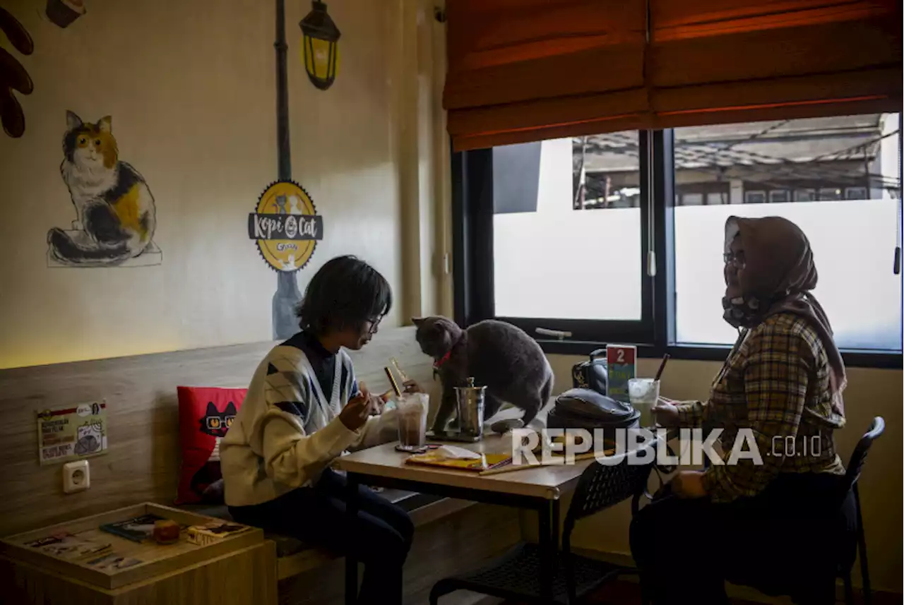 Warga Diminta Konsumsi Makanan dan Minuman Matang Cegah Hepatitis Akut |Republika Online