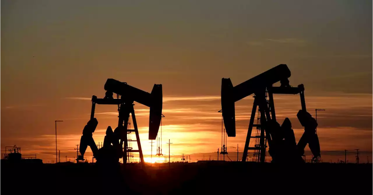 Oil slides as renewed China COVID curbs temper fuel demand outlook