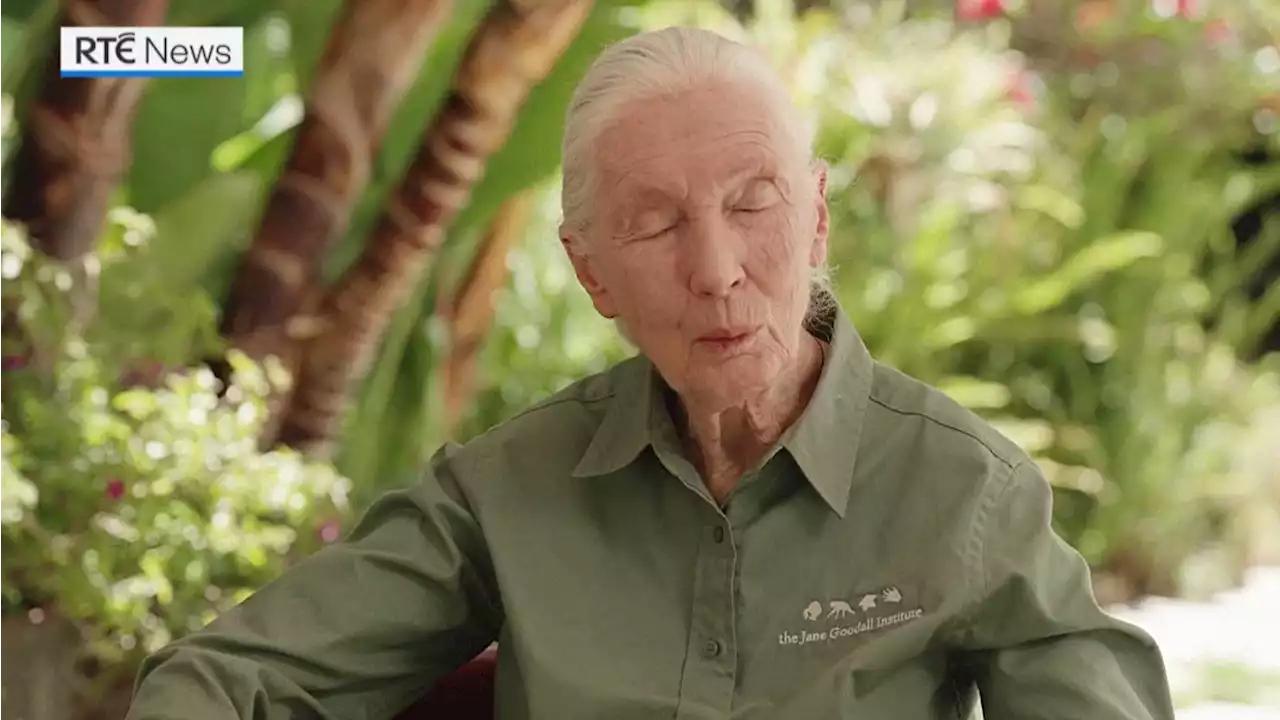 Barbie unveils new Dr Jane Goodall doll