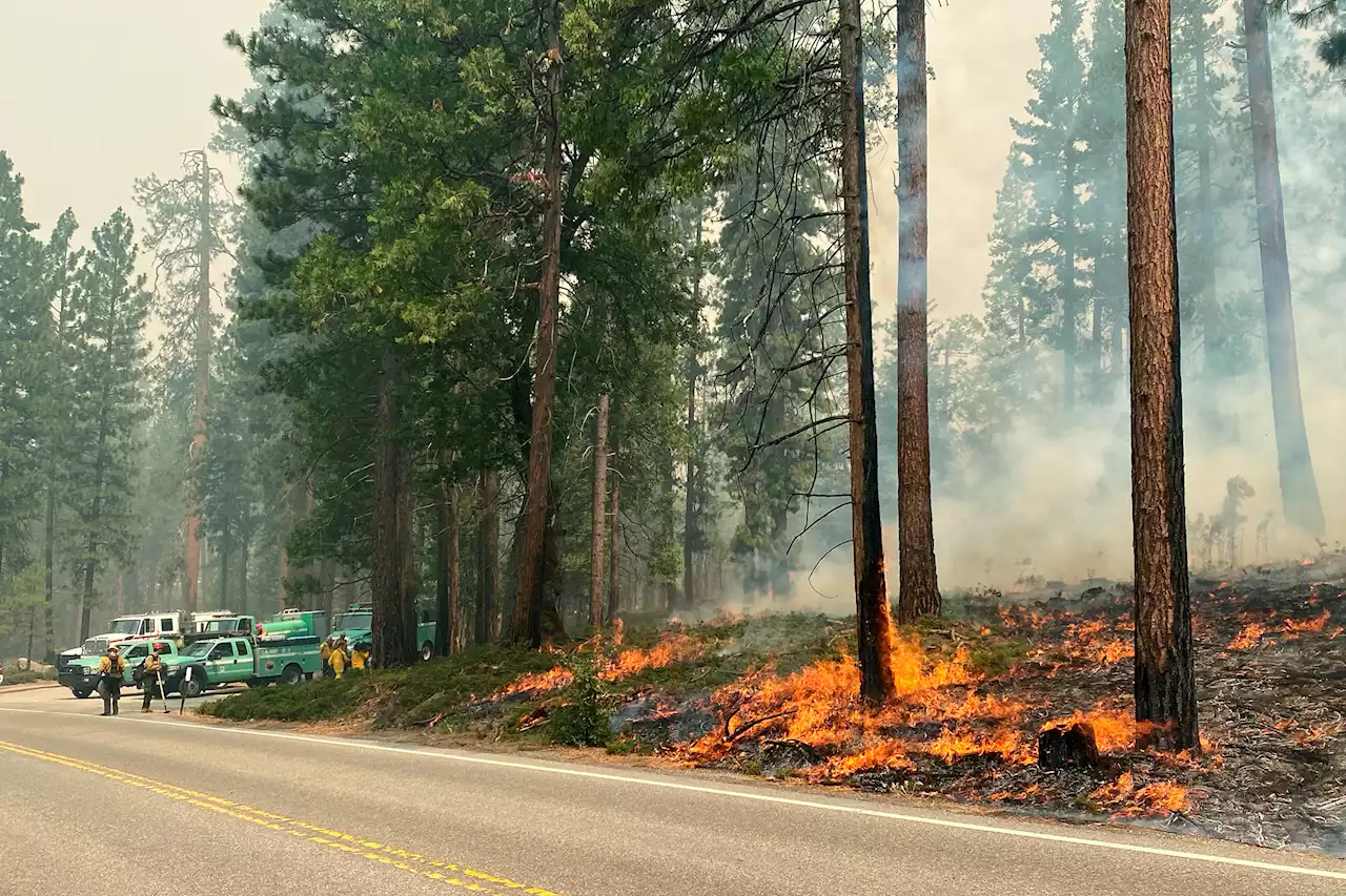 Historic buildings at risk in Yosemite wildfire