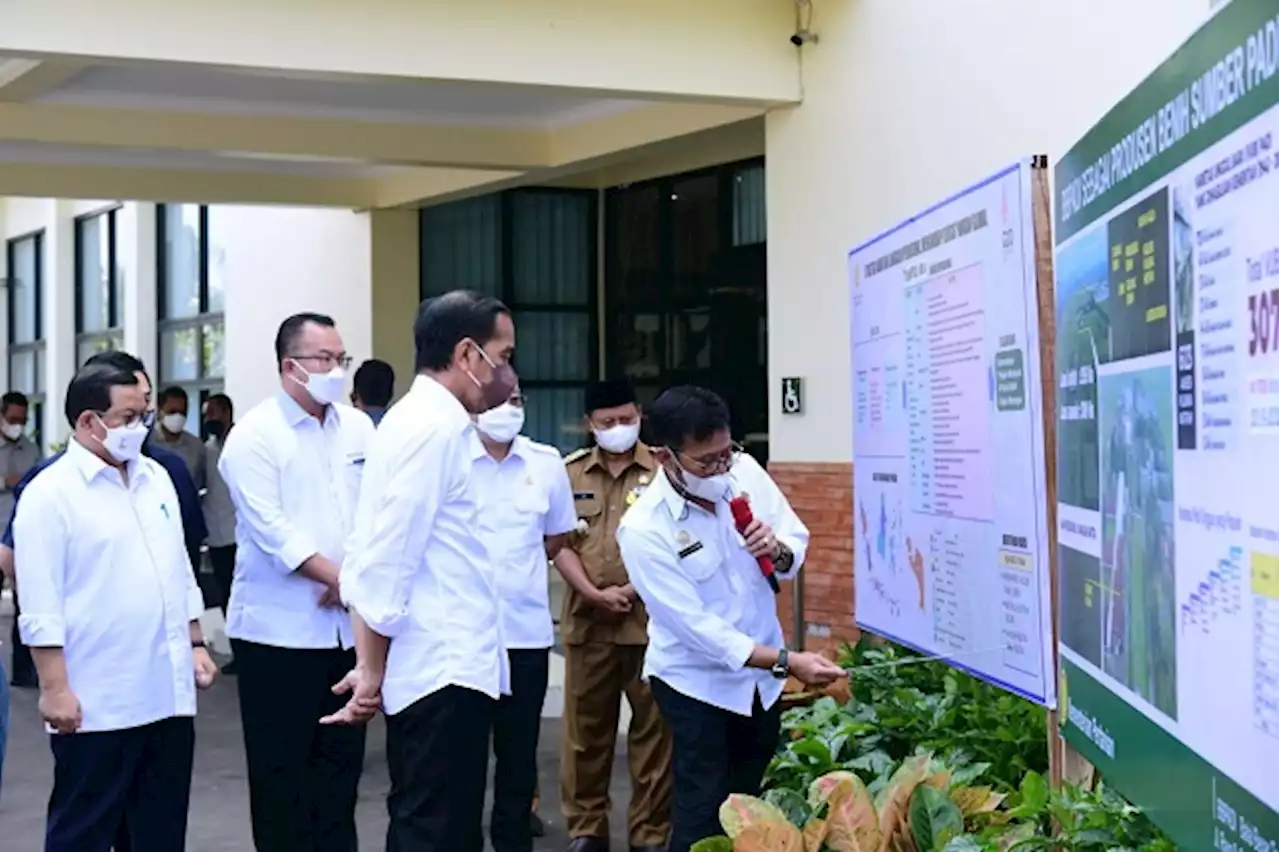 Jokowi Apresiasi Lompatan Kerja Kementan dalam Produksi Benih Unggul Padi