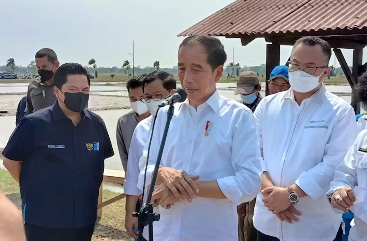 Jokowi Respons Baku Tembak di Rumah Kadiv Propam, Perintahkan Kapolri Memproses Hukum