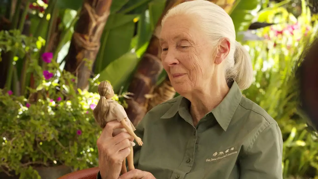 Barbie unveils new Dr Jane Goodall doll in honour of the conservationist