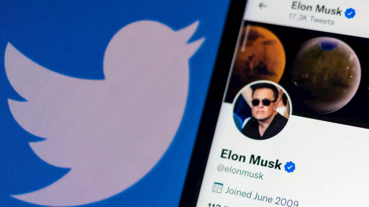 &#8216;They&#8217;re going to fail&#8217;: Twitter planning to take Elon Musk to court