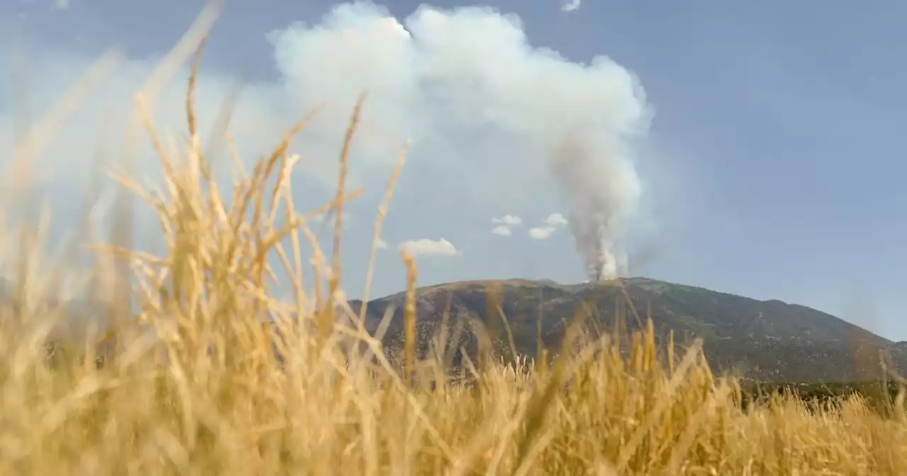 Northern Utah should expect ‘dangerously hot conditions’ this week