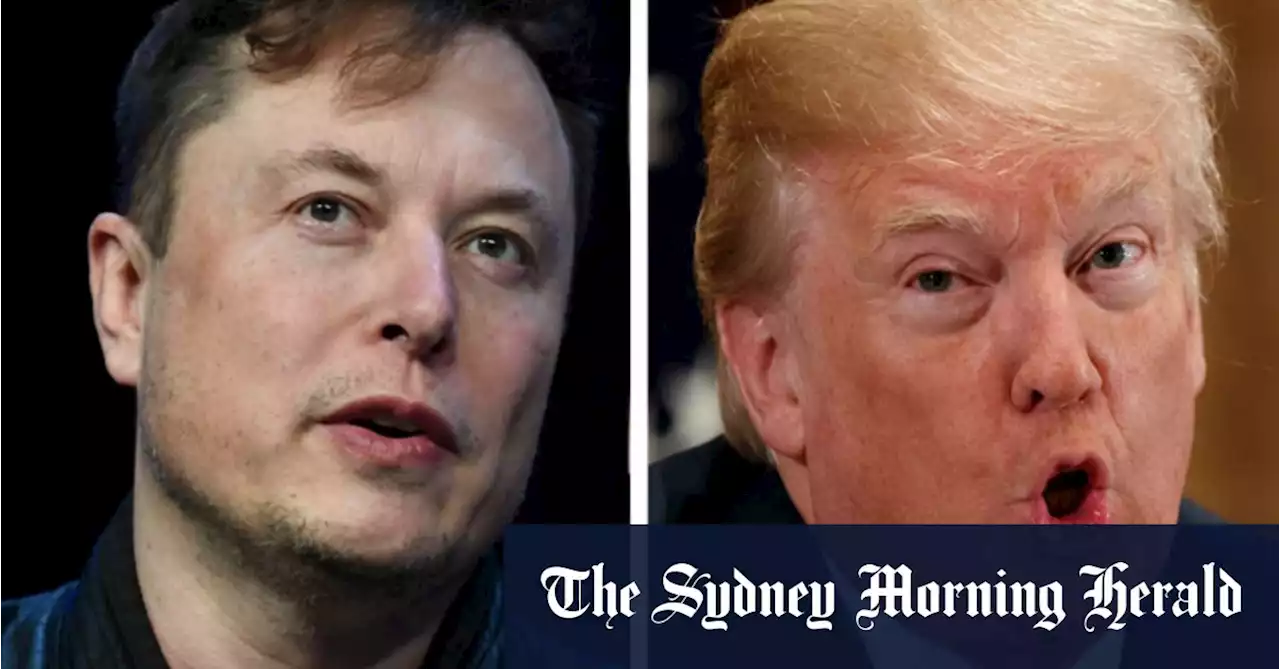 It’s time for Donald Trump to ‘sail into sunset’: Elon Musk