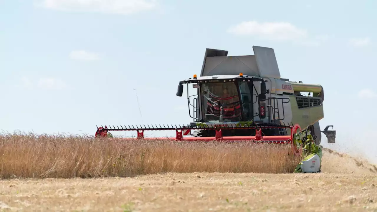 Wetter in Bayern: Die Sommerhitze kommt