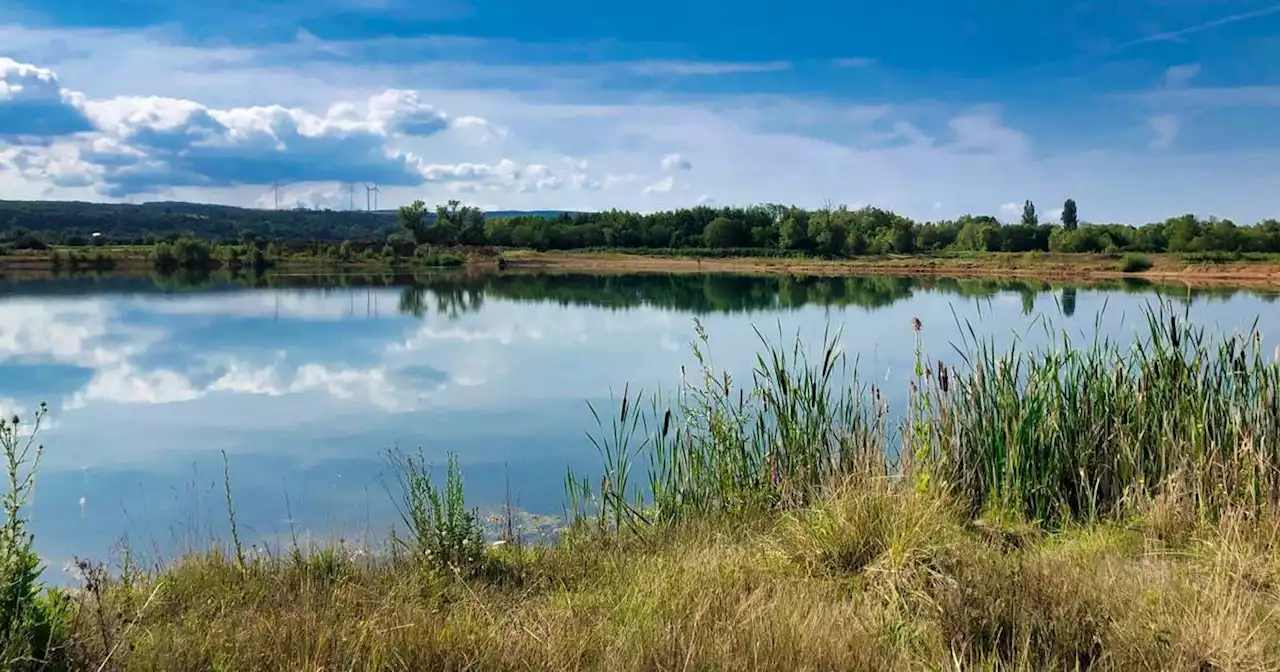 357 Kilometer mit dem E-Bike durchs Saarland: Durch geräuschvolle Biotope, vorbei an prachtvollen Weinbergen zu geschichtsträchtigen Denkmälern – und der Akku macht schlapp (mit Bildergalerie)