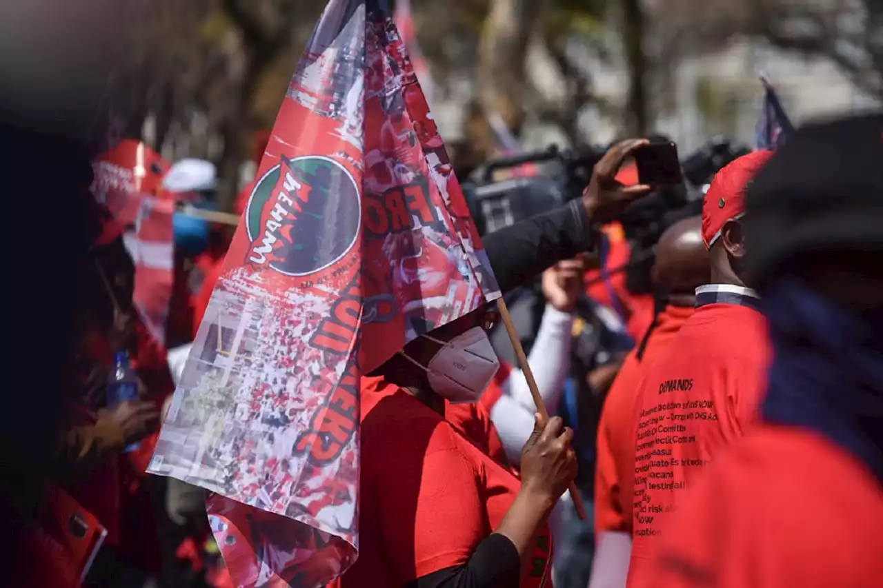 PSA and Nehawu continue strike at Sars amid tax season | The Citizen