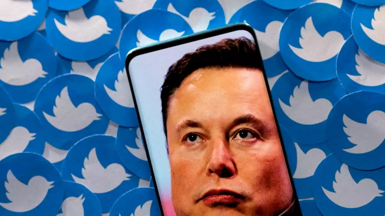 Twitter styrtdykker på første børsdag efter Musk-udmelding