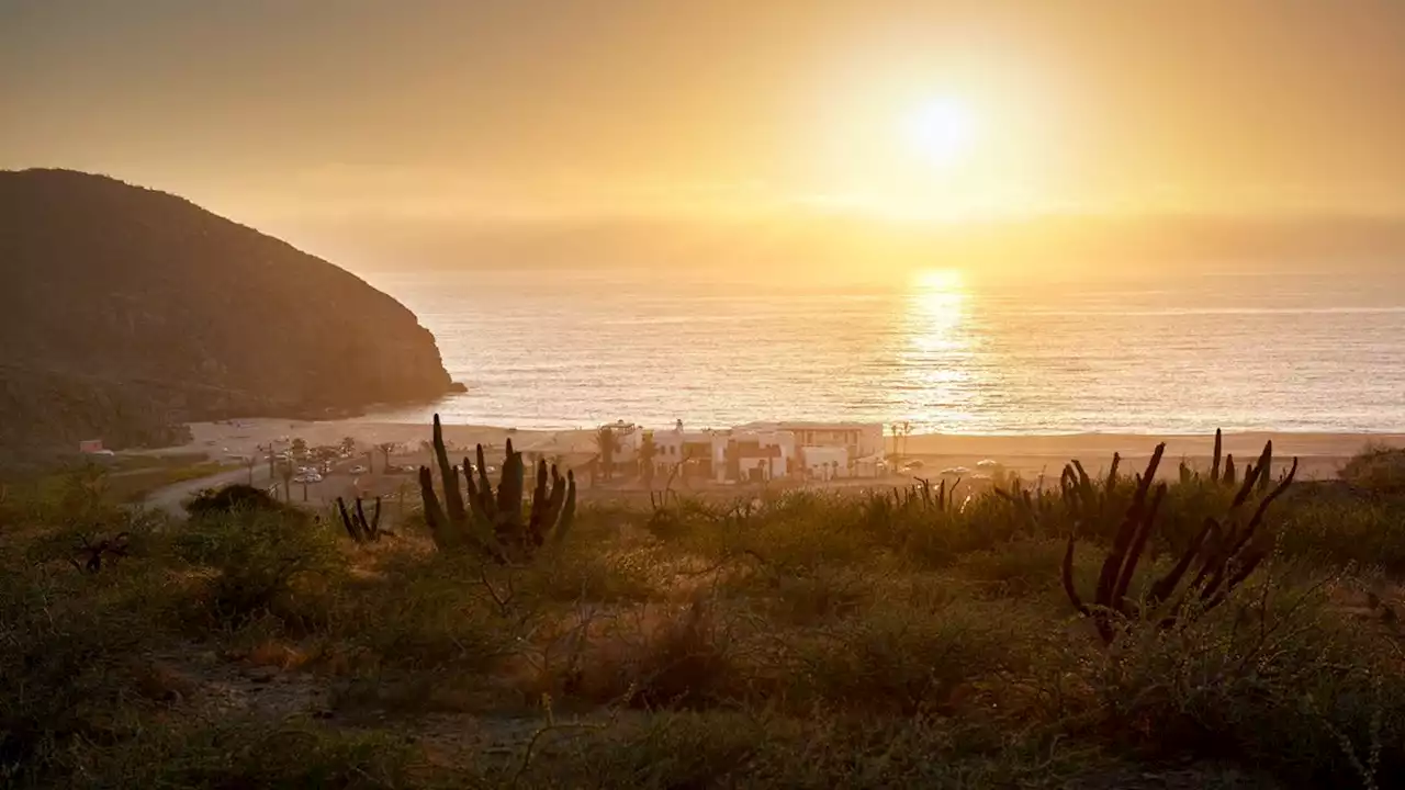 Where to Go in Todos Santos, Mexico for a Tranquil Beach Getaway