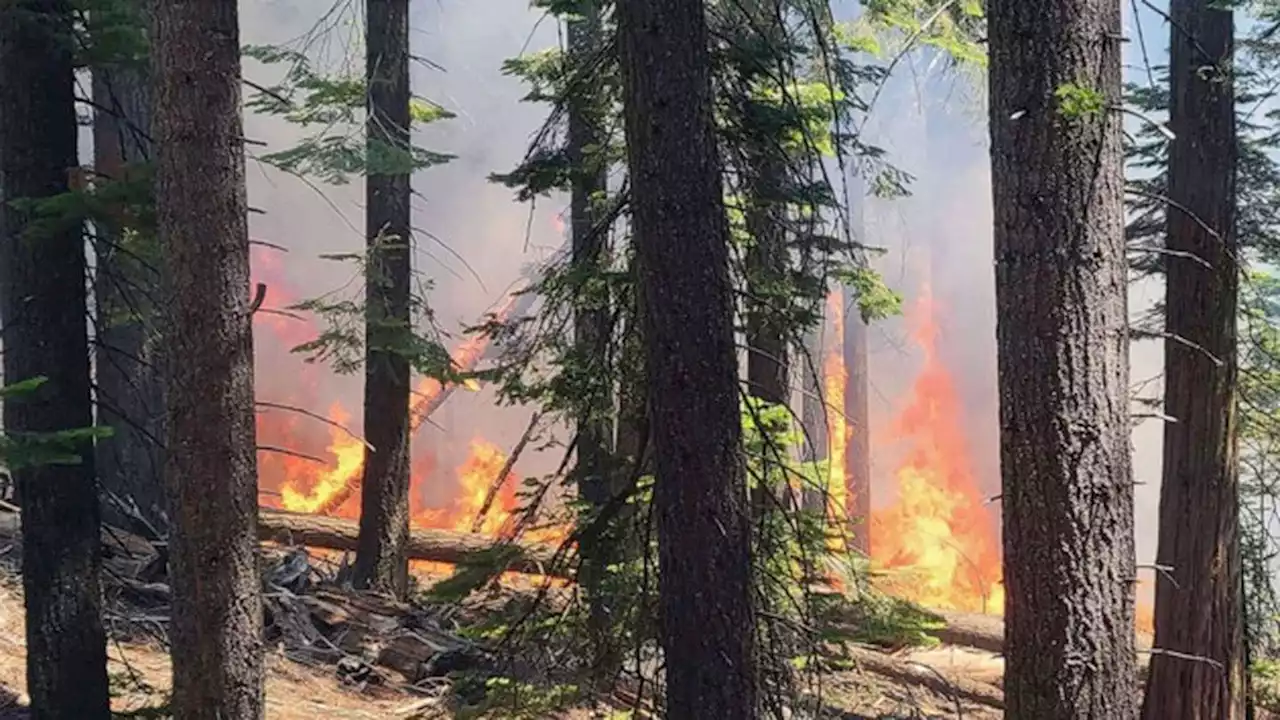 Wildfire threatening Yosemite sequoias now affecting air quality in San Francisco Bay Area