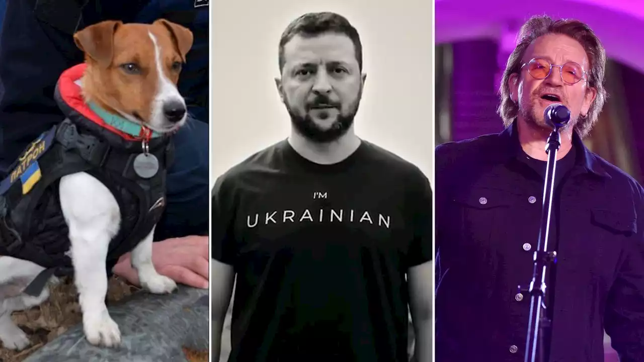 Cute Dogs, Bono and Ads: Ukraine’s PR Strategy to Rally Global Support