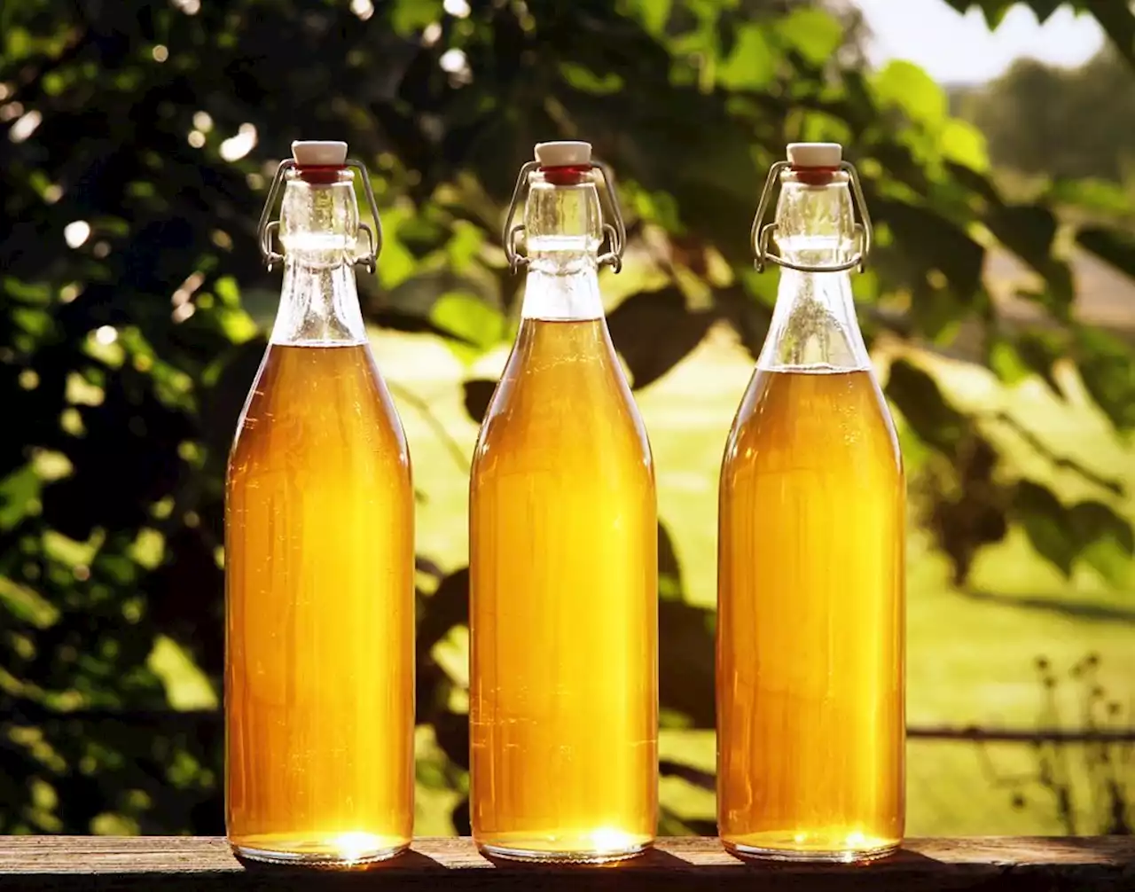 SA just got 21 new types of class-protected mead, including several African traditional varieties | Businessinsider