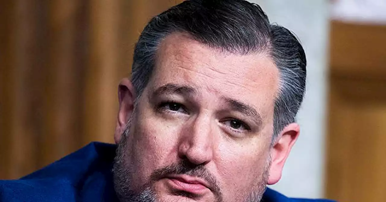 Cruz: Biden Open Border Policy 'a Very Craven Political Decision'