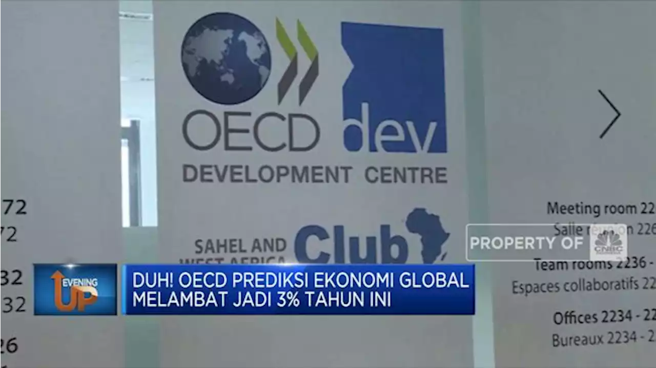 Duh! Oecd Prediksi Ekonomi Global Melambat Jadi 3% Tahun Ini