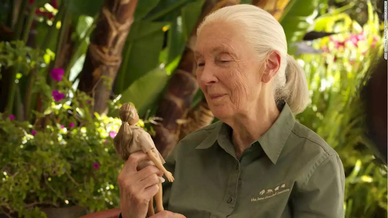 Primatologist Jane Goodall gets Barbie doll in her likeness