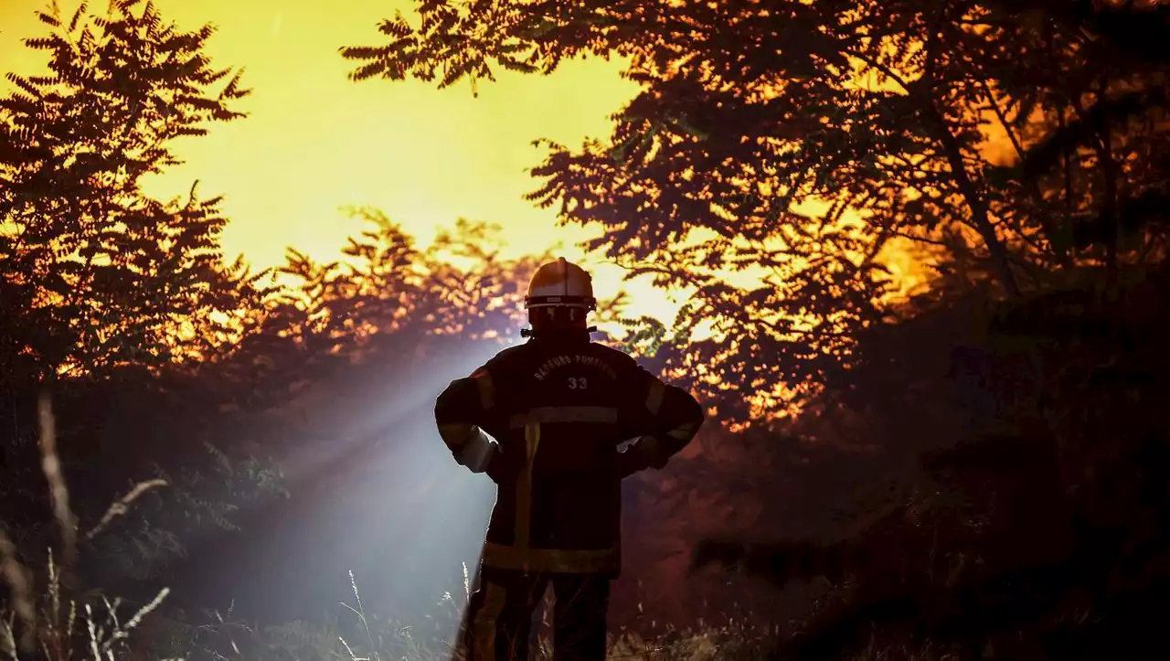 Waldbrände in Frankreich und Portugal: Evakuierungen und Löscharbeiten