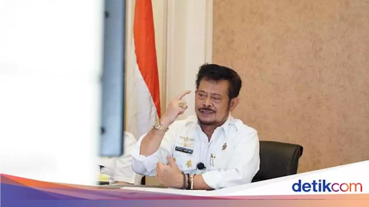 Mentan Sebut China Minta Dikirimin Ceker Ayam RI