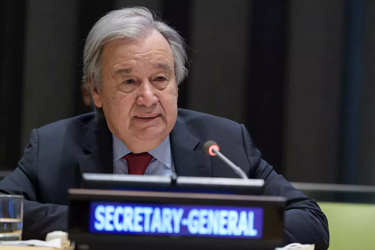 Ukraine-Krieg - Guterres sieht baldige Lösung von Getreidekrise