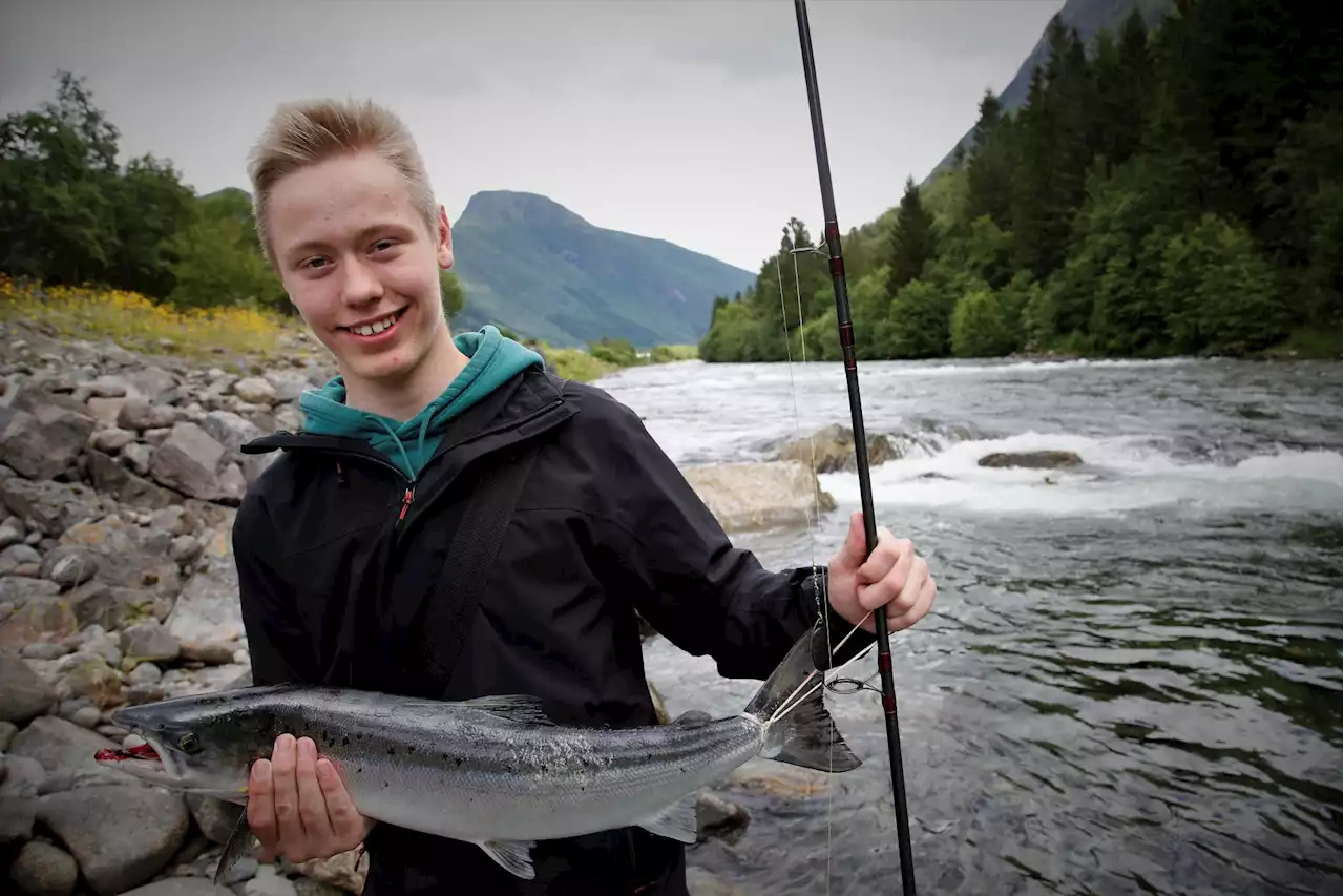 Etter tidenes dårligste sesong i fjor, biter laksen igjen. Men varsellampene blinker fortsatt.