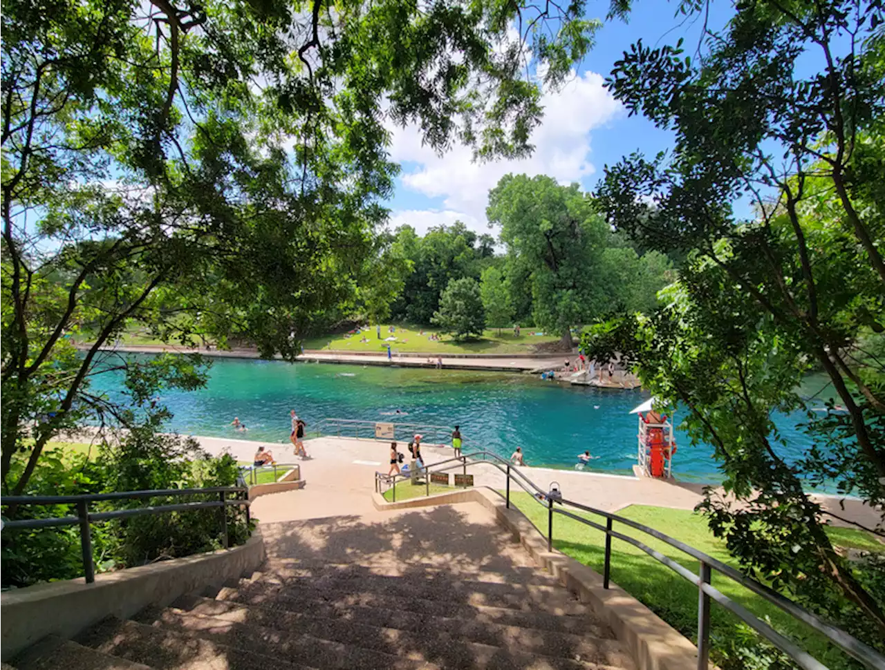 Dog dies one hour after swimming at Barking Springs, Austin officials say