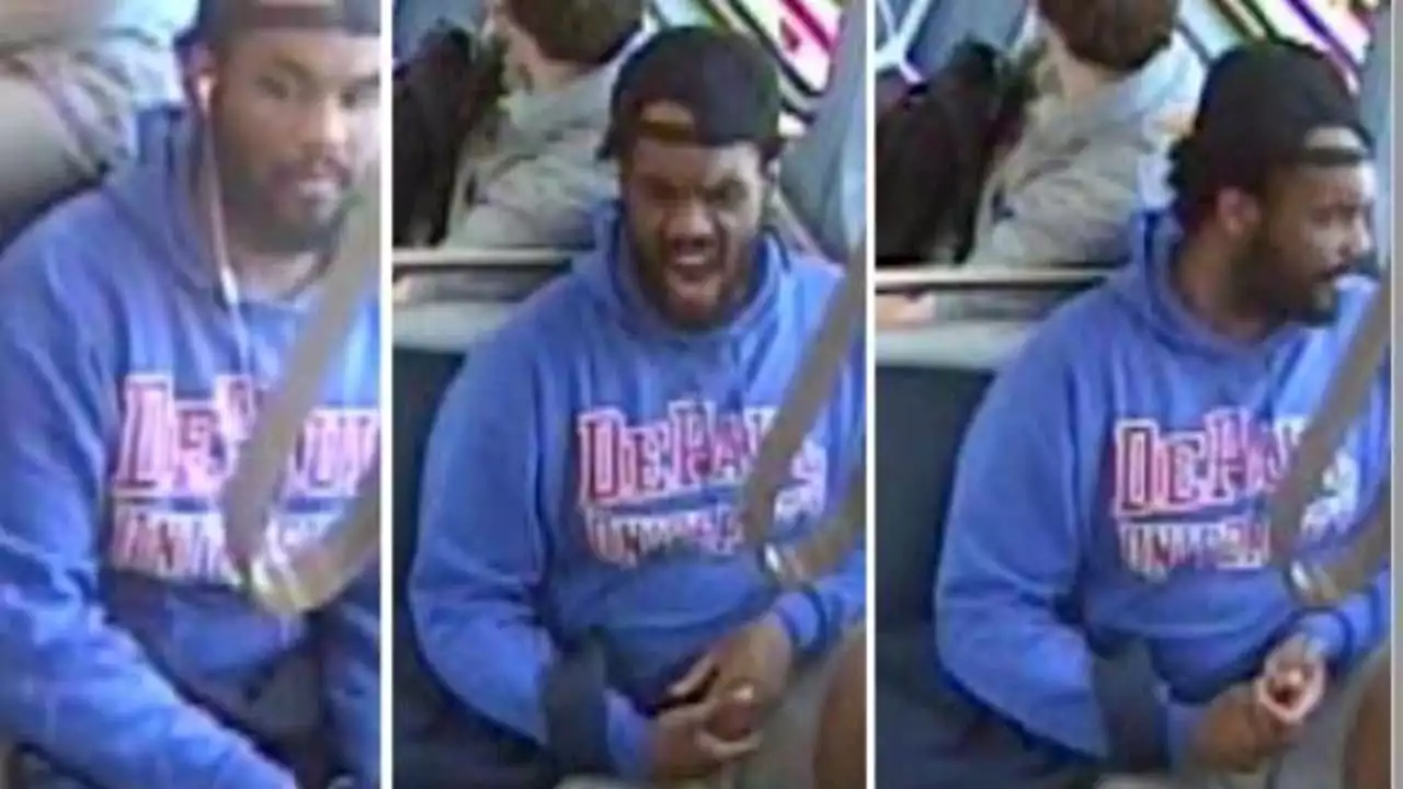 Man wanted for knocking elderly woman to the ground, stealing purse on Red Line train