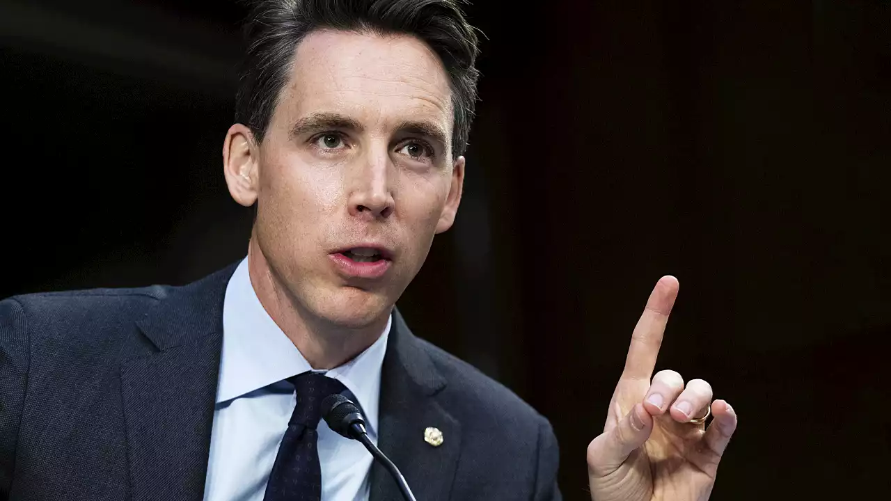 Josh Hawley says Democrats 'have lost their minds' after tense exchange with progressive law prof goes viral