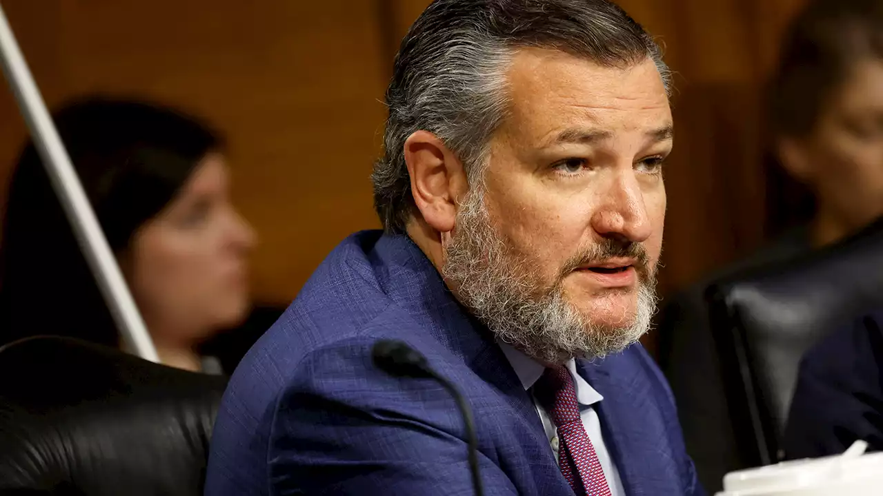 Senate hearing: Ted Cruz points out top Dems, most voters oppose the 'radical' 'unlimited abortion' view