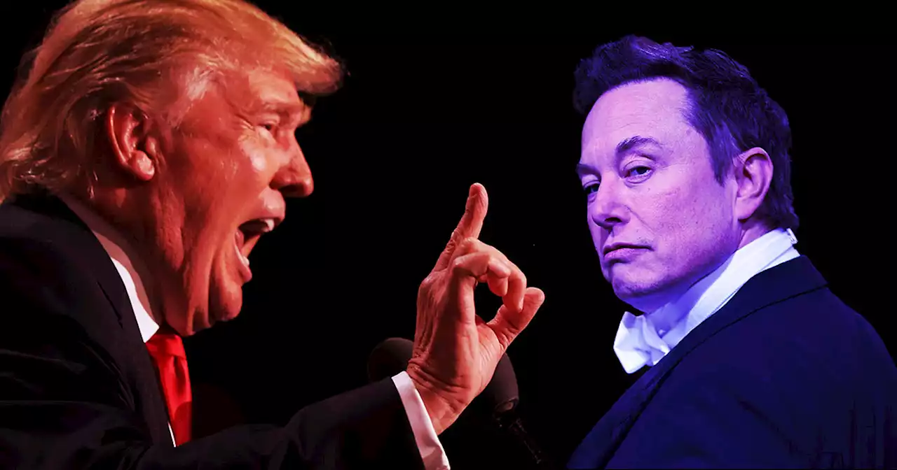 Donald Trump Just Bludgeoned Elon Musk With a Vicious Attack