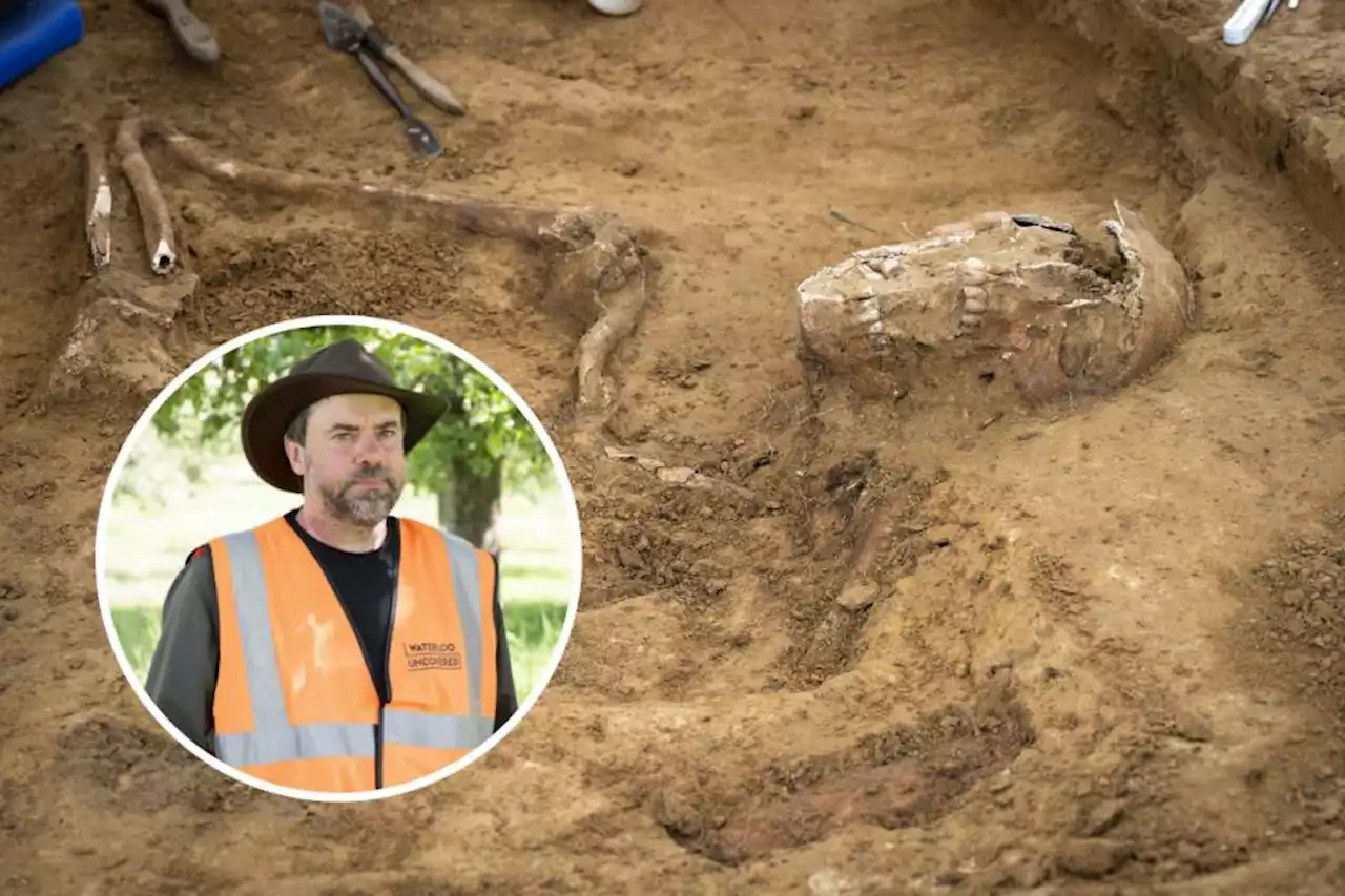 Glasgow University archaeologist discovers rare skeletons at Waterloo battlefield