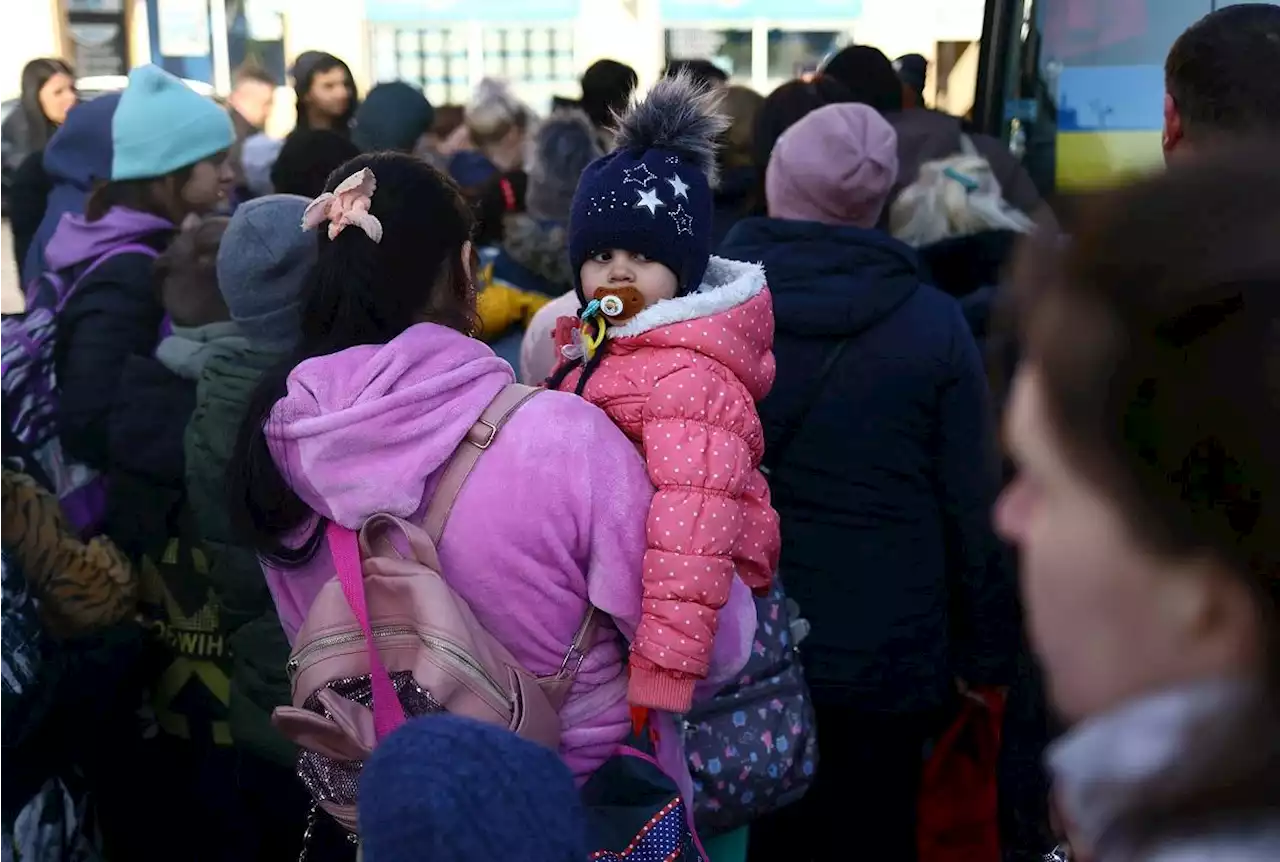 Two-thirds of Ukraine refugees plan to stay put for now —UN