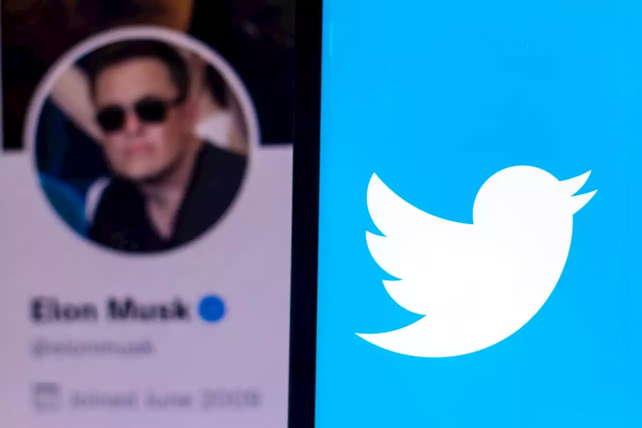 Wie angekündigt: Twitter verklagt Elon Musk, um Übernahme zu forcieren