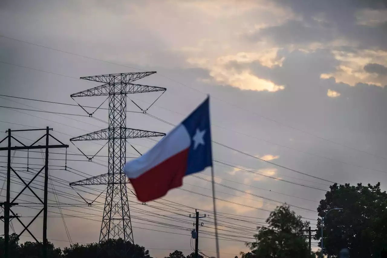 Consumers rode to grid's rescue on Monday, but ERCOT head 'concerned' about future