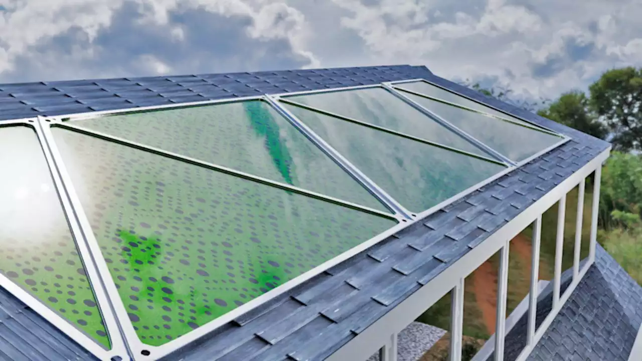 Algae-filled panels could generate oxygen and electricity while absorbing CO2