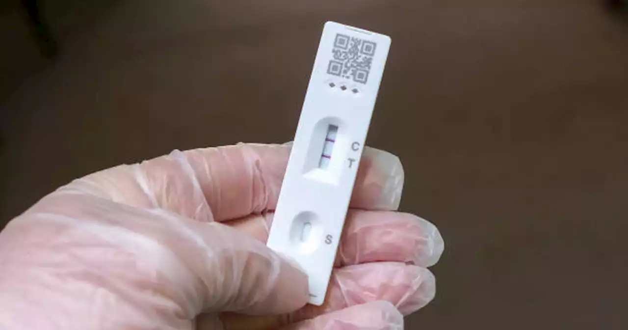 How to report a positive Covid test as summer wave spreads in Ireland