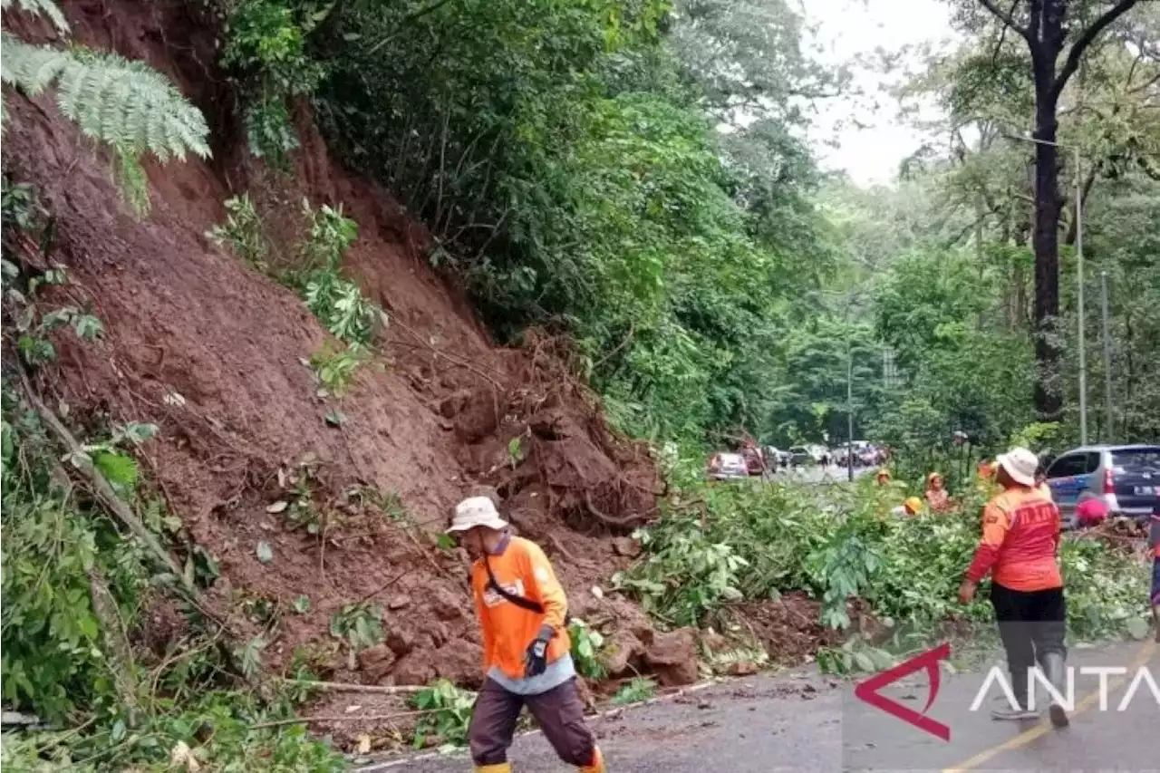 Gunung Gumitir Longsor, Masyarakat yang Melintasi Jalur Jember-Banyuwangi Waspada