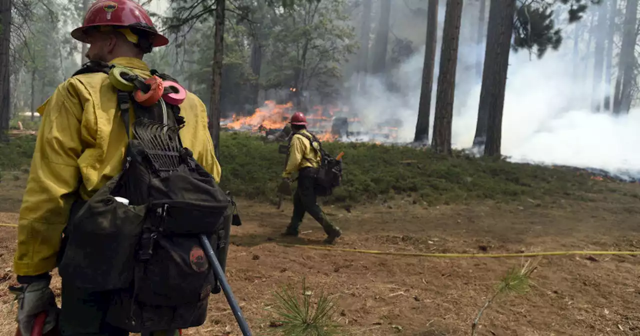 Fire crews struggle to contain Washburn Fire burning in Yosemite