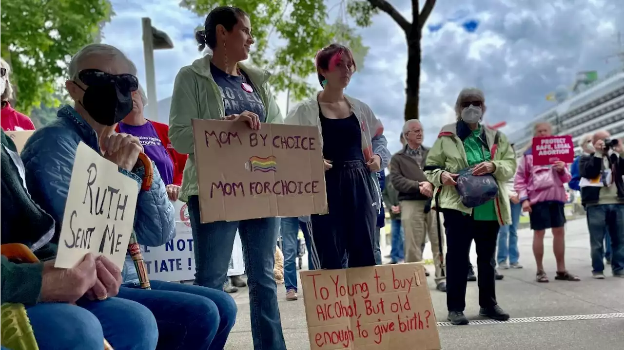 Record number of Alaskans turned out Saturday to support abortion rights