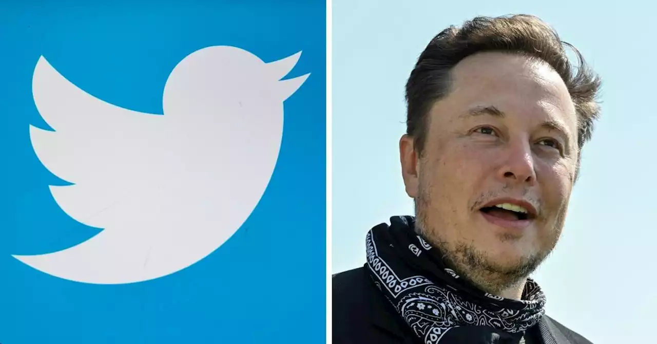 Twitter takes Elon Musk to court, accusing him of bad faith and hypocrisy