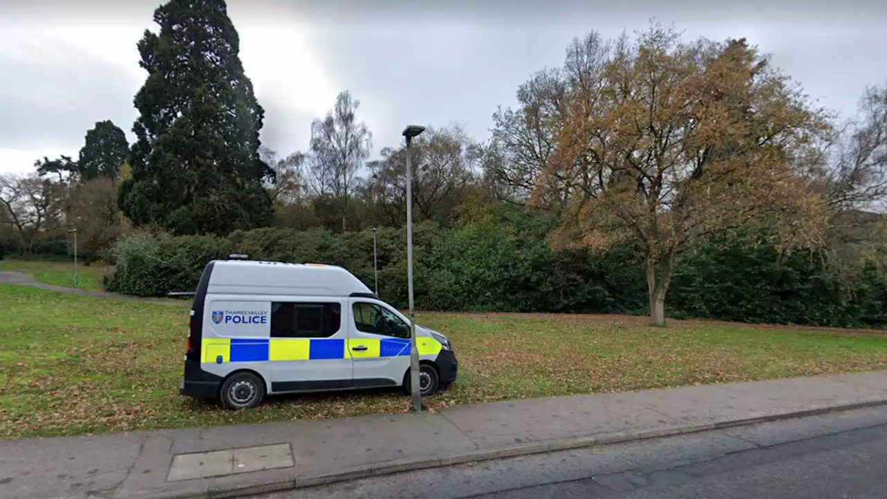 Boy, 13, arrested after 'two women and teenage girl sexually assaulted in park'