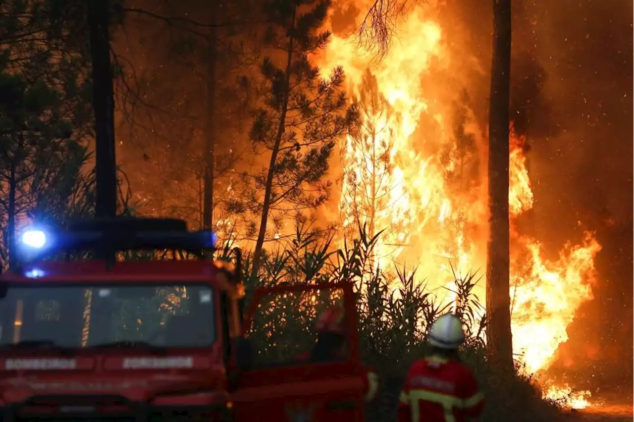 Firefighters scramble to put out flames in heatwave-hit Portugal, Spain