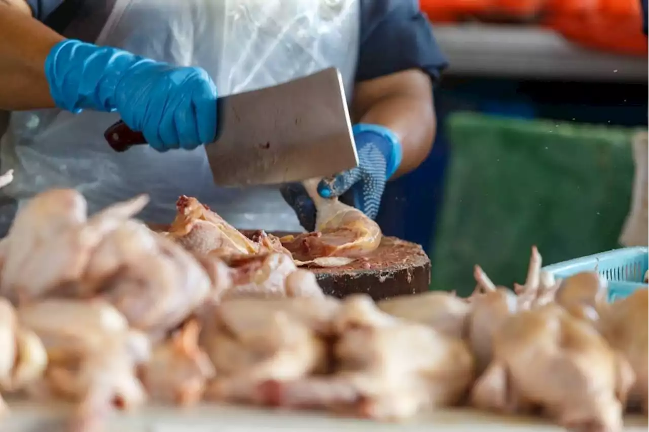 MyGrocer@Wilayah programme offers items like chicken, eggs at lower prices for FT residents, says minister