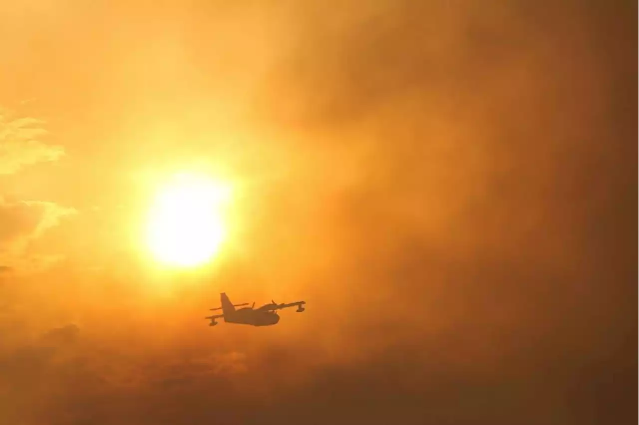 Wildfires rage as heatwave scorches Portugal and Spain