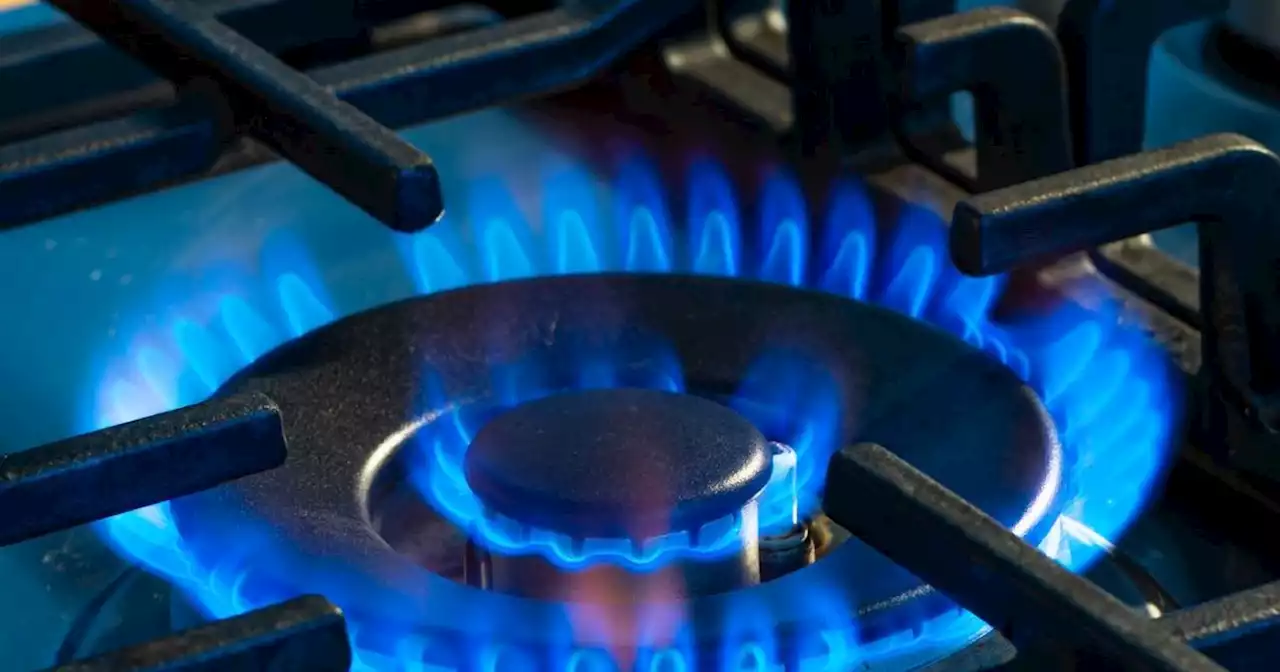 Ditch your gas stove? Study finds they emit cancer-causing chemicals