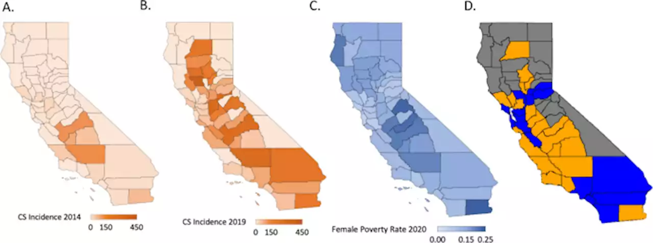 Examining associations in congenital syphilis infection and socioeconomic factors between California’s small-to-medium and large metro counties - Journal of Perinatology