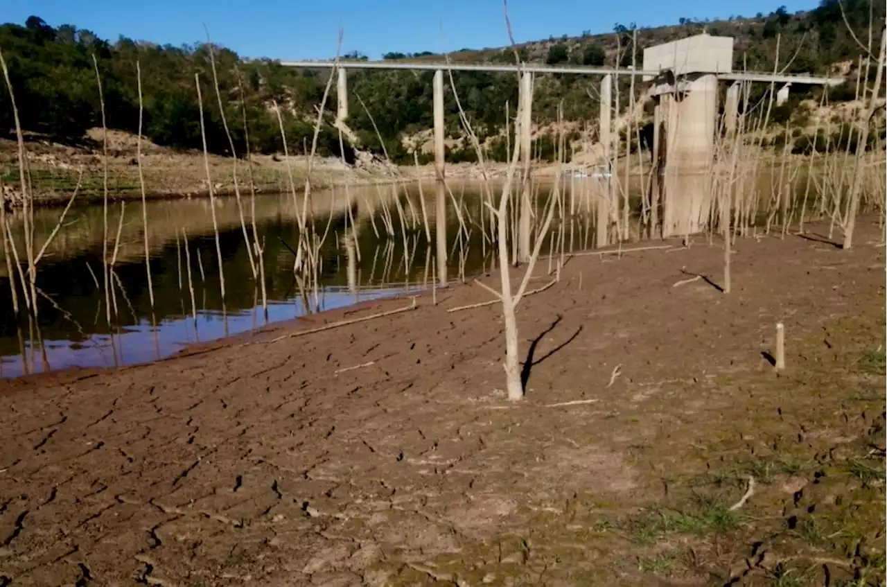 Nelson Mandela Bay’s usable water down to 2.3% of dam capacity